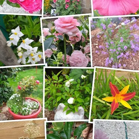 The Annex Maison d'hôtes Saint-Maur-des-Bois