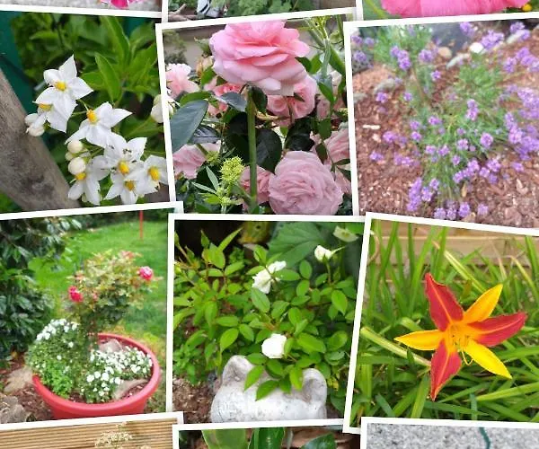 The Annex Pensionat Saint-Maur-des-Bois